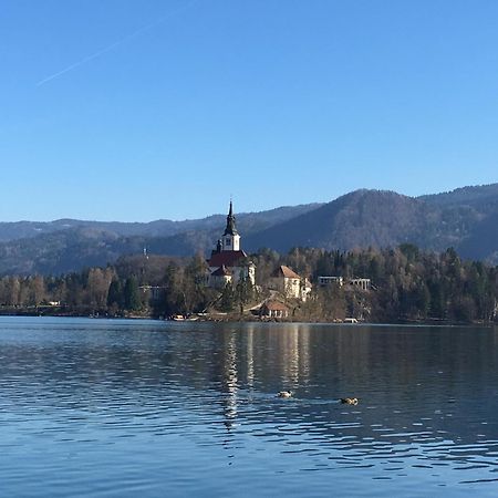 Vila Cerne Блед Екстер'єр фото