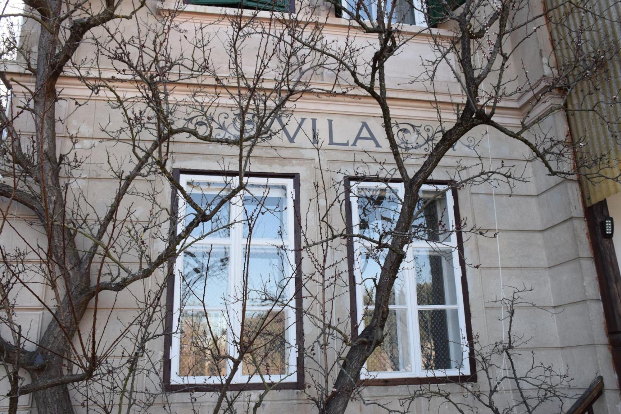 Vila Cerne Блед Екстер'єр фото